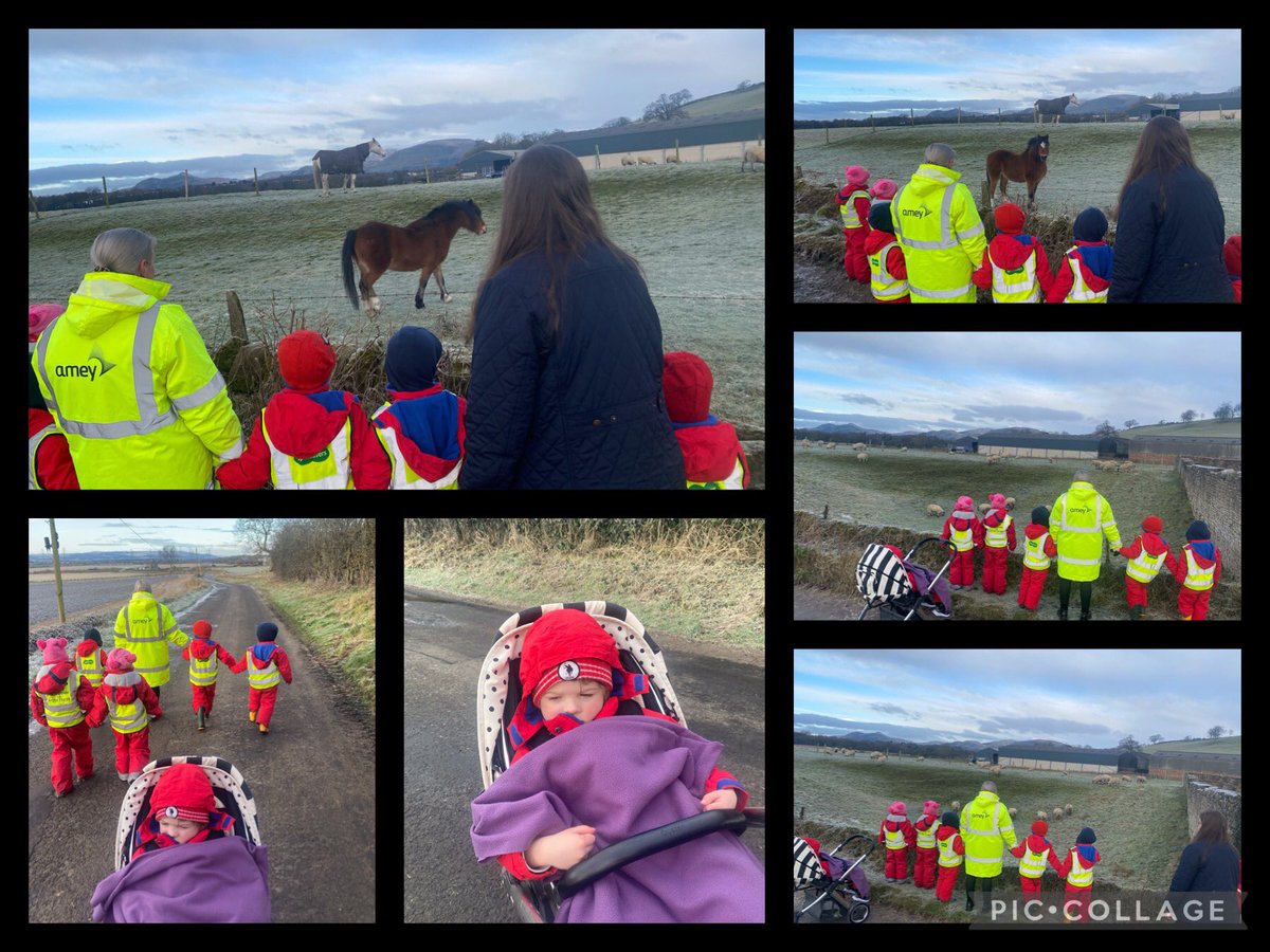 NurseryClackPs's tweet photo. Today we went for a walk down the farm road to observe changes in the weather and to visit the farm horses. Children recognised that is cooler and identified the frost.#PowerofObservation #OurCommunity https://t.co/MvHkmXRvG3