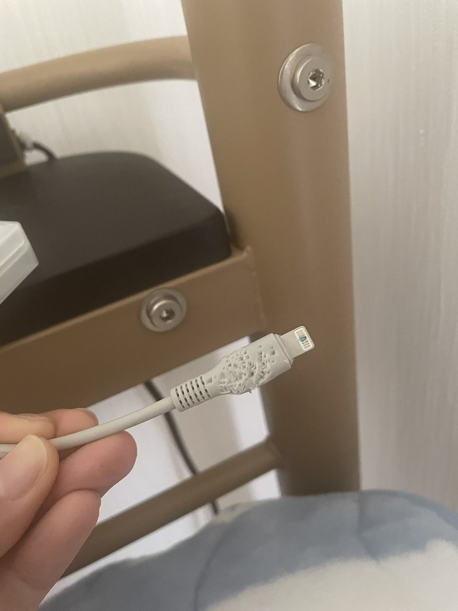 Texas_danbara's tweet image. こんばんは、はちです🐶

やられちまいました！
まだ1回も使ってないコードが
ガジガジに…
犯人はアイツか🐱

テキサス段原店は
連日朝9時OPEN！
ご来店お待ちしております🙇‍♀️
P.S
猫飼ってる方のケーブル対策
いい方法教えてほしい🤔
 #猫の居る暮らし 
 #USBケーブル