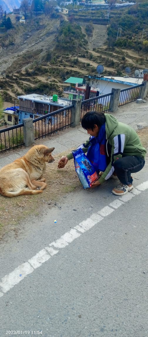 TheDogMother_'s tweet image. Today&apos;s feeding started from Sunil in #Joshimath till downhill town. The team @SmartSanctuary spoke with families &amp;amp; shop owners and shared our details in case help is needed. 
We are going to fall short of dog food already 🙈
But few friends are bringing more over 😇
#DoYourBit