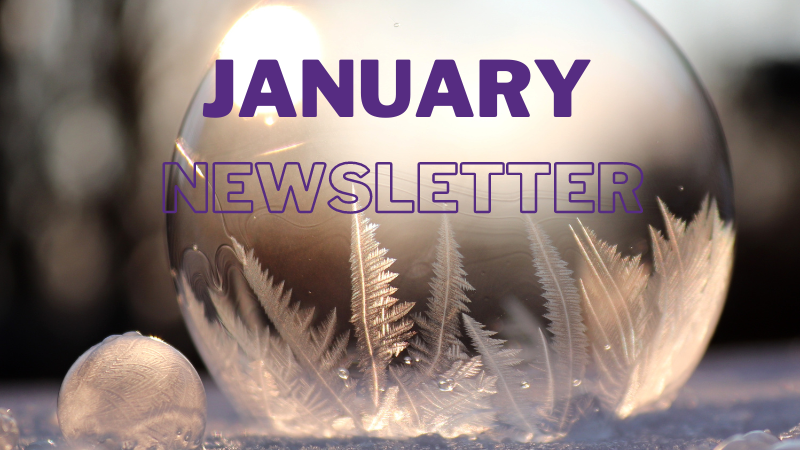 CLSChartSec's tweet image. Our January newsletter is out and this month we are looking at our usual list of Top 10 Company Law Points for 2023 bit.ly/3ZOgaje #ppsn #latefiling #filingfees #disctrictcourt #strikeoff #bond #unlimitedcompany