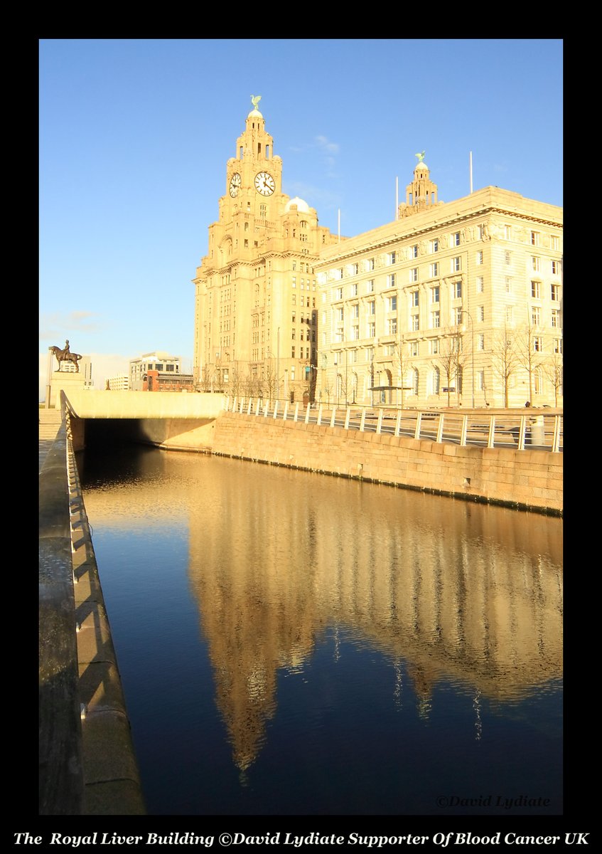 liverfocus's tweet photo. 6/6
See Full Thread
#Quest4Life
@sharron_honey @MichaelMarch5  &amp; to all tagged, I changed presentation from yesterday for greater impact
#Forgotten500k #IMMUNOSUPPRESSED #IMMUNOCOMPROMISED #VULNERABLE #FORGOTTON500K https://t.co/IkZxyPLpkE