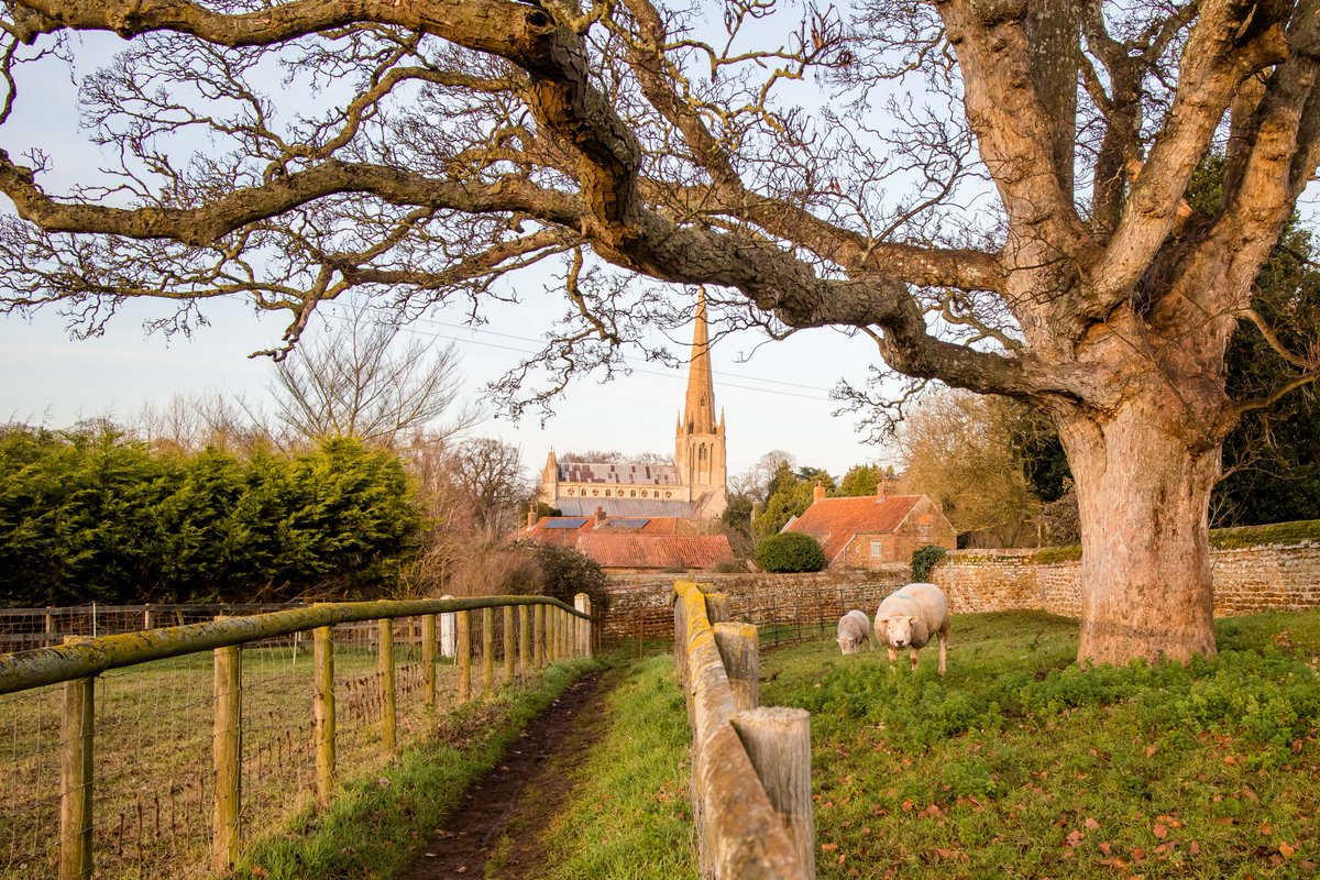 Midwinter sunlight on the landscape near our village. 
2 - A footpath near Park Farm, with the village's 14th century church in the distance. 
#VisitWestNorfolk #snettisham