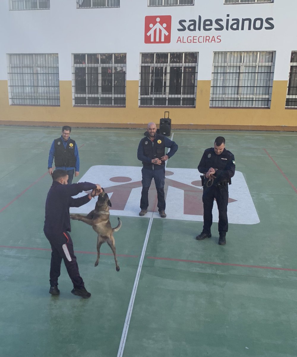 Exhibición de la “patrulla canina”