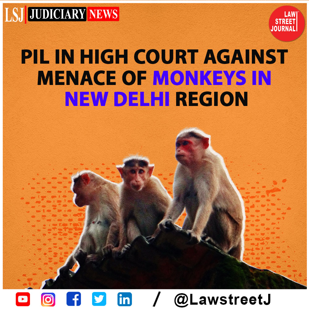 LawstreetJ's tweet photo. Public Interest Litigation (PIL) in High Court against menace of monkeys in New Delhi region.
#Delhihighcour #PIL #ShashwatBhardwaj #Sterilization #Monkeys #NewDelhi #MonkeyBites #Animals #LawstreetJ
@AamAadmiParty https://t.co/cvAWzR1FwD