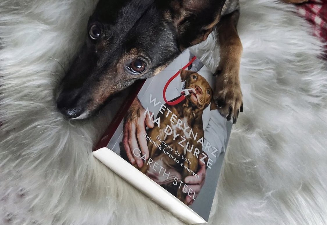garethsteel1's tweet photo. I’m very pleased that #neverworkwithanimals is now available in Polish! I’ve worked with many colleagues from overseas, it’s always a pleasure, and it’s extremely flattering that @WydawnictwoZnak have chosen to publish my scribblings!
#veterinarymedicine #dogsoftwitter https://t.co/0IE6QnDIIR