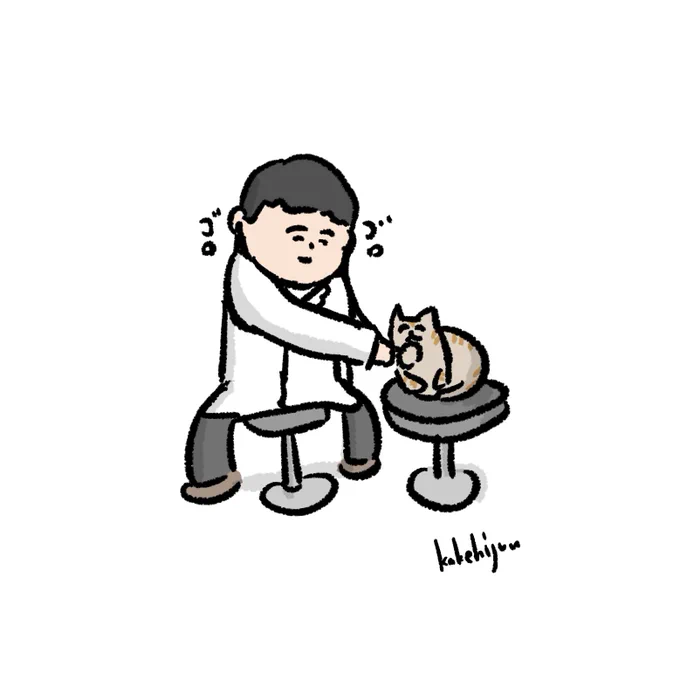 猫のゴロゴロを聴くだけの簡単なお仕事 