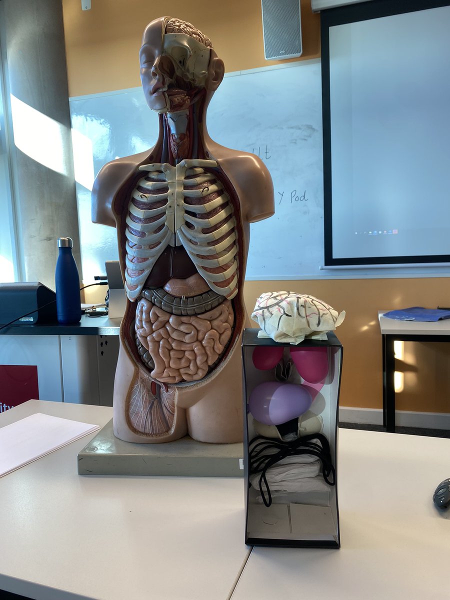 Miss_Hopkins_'s tweet photo. Today in Science and Technology we recreated the human body using recycled materials. We considered the position, size and shape of each organ. @BAPrimaryUSW https://t.co/rcMuU2Jxkj