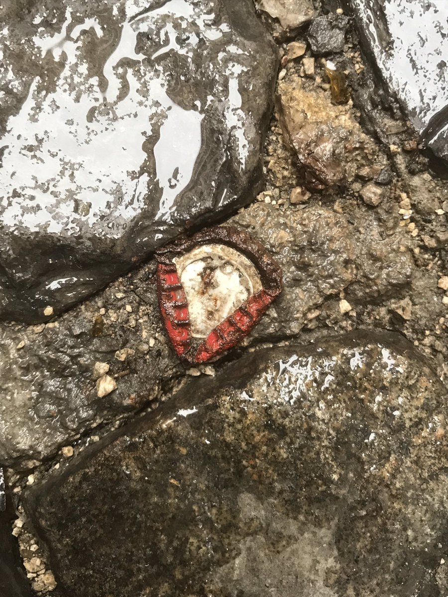 theCAP_project's tweet image. -8jan23 12:21-12:22 Misericórdia-Lisbon
 ∙1st pic #3Cap 
 ∙2nd pic #5Cap
 ∙3d pic #6Cap
 ∙4th pic #8Cap 

#january2023 

#cap_mapping #cap_identity #Lisbon #Portugal #the_cap_project #bottlecap 
#bottlelid #beer #soda #beverage #superbock #january #todayscaploot #loot #cap