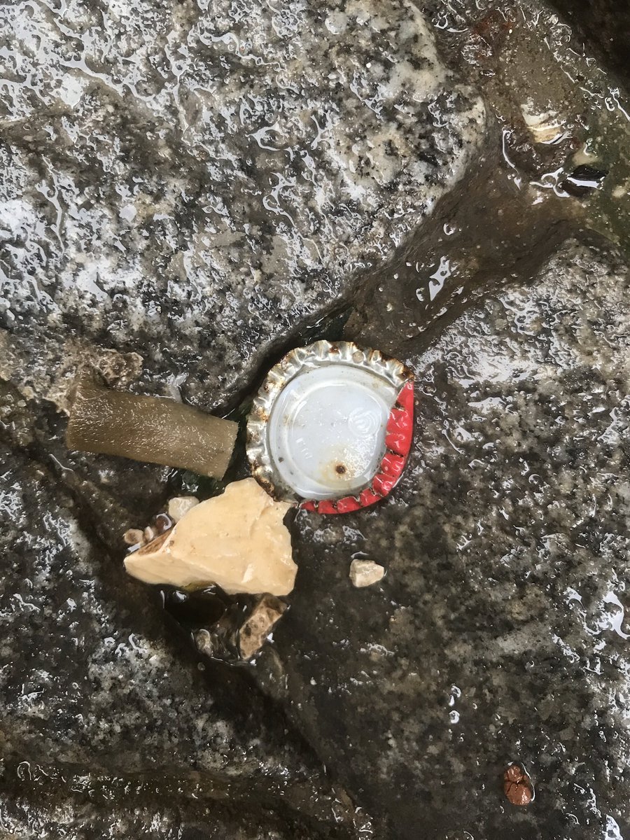 theCAP_project's tweet image. -8jan23 12:21-12:22 Misericórdia-Lisbon
 ∙1st pic #3Cap 
 ∙2nd pic #5Cap
 ∙3d pic #6Cap
 ∙4th pic #8Cap 

#january2023 

#cap_mapping #cap_identity #Lisbon #Portugal #the_cap_project #bottlecap 
#bottlelid #beer #soda #beverage #superbock #january #todayscaploot #loot #cap