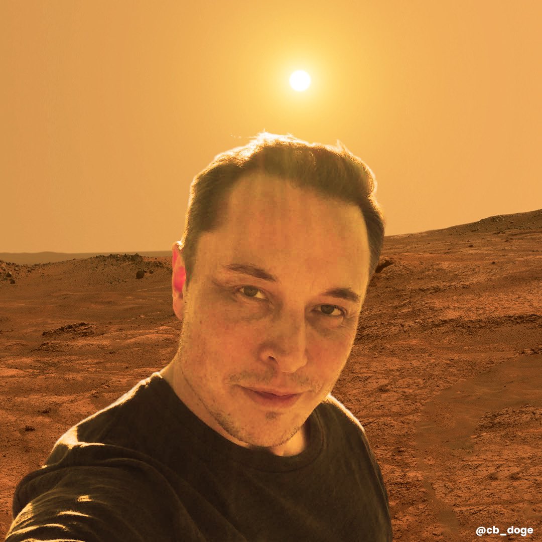 DogeDesigner tweet media