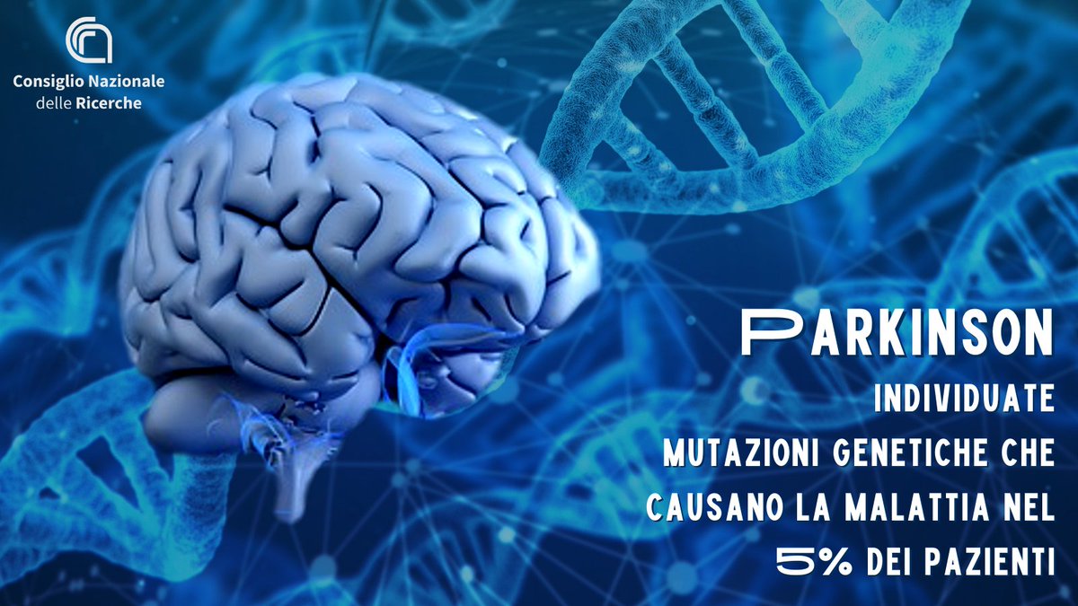 #Parkinson: individuate mutazioni genetiche che causano la malattia nel 5% dei pazienti
È il risultato di uno studio, pubblicato su Molecular Neurobiology, condotto da #Cnr_Igb e <a href="/NeuromedIRCCS/">Neuromed</a> 
Per approfondire clicca sul link cnr.it/it/comunicato-…