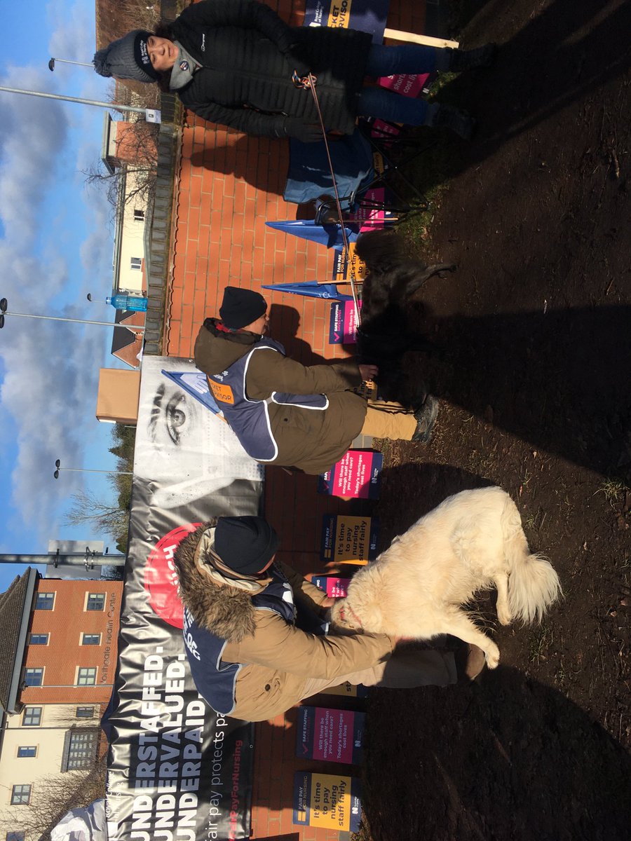 Mel (@mel_mcateer) on Twitter photo Two friendly dogs visiting the Bridgenorth picket in Shropshire <a href="/RCNWestMids/">RCN West Midlands</a> #FairPayForNursing #rcnstrike Two friendly dogs visiting the Bridgenorth picket in Shropshire <a href="/RCNWestMids/">RCN West Midlands</a> #FairPayForNursing #rcnstrike