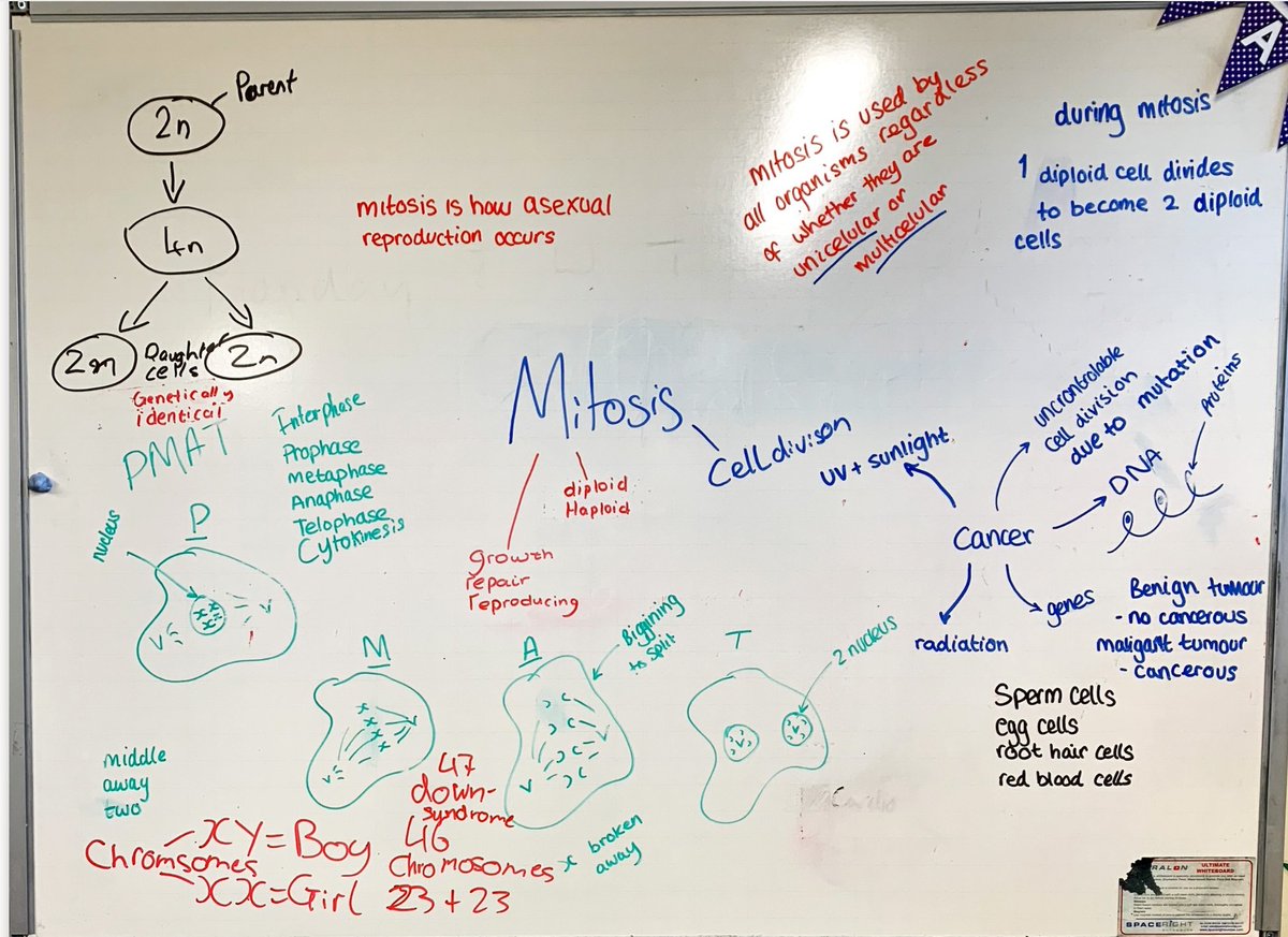 RHS_Support's tweet photo. Year 10 pupils have been learning about the benefits of collaborative study. Impressive work, completed in an early morning session. We loved listening to the conversations, as pupils worked hard to share their knowledge! #Collaborativestudy  #retrievalpractice @RHSSuffolk https://t.co/sJV6AIozrA