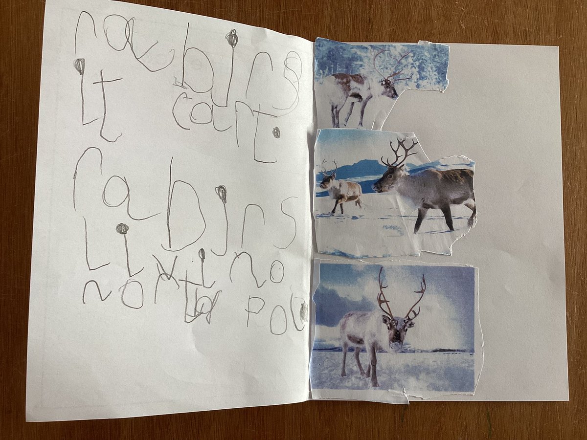 F2Y have been learning lots of facts about animals this week. They researched by using QR codes linked to information books and videos and some even created their very own non-fiction book! #JESSJumEnglish