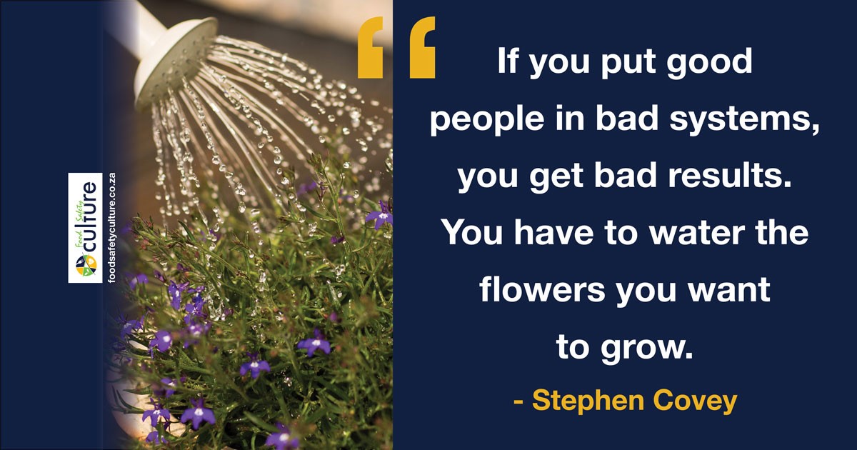 SafeFoodCulture's tweet photo. If you put good people in bad systems, you get bad results. You have to water the flowers you want to grow.
#thoughtforthursdays #foodsafetyculture #teamplayers #motivation #leadership #culturechange #qualitymatters https://t.co/Bwg7Esg1Kj