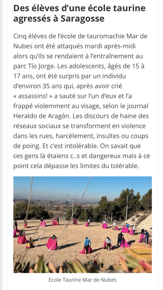 ClemLaporte's tweet photo. La violence n’est pas du côté de la corrida… des actes de plus en plus présents, insultes, violence, blocage, voici le vrai visage des anti corridas. 
#corrida #toros #france #Espagne https://t.co/pPQwSDooxO