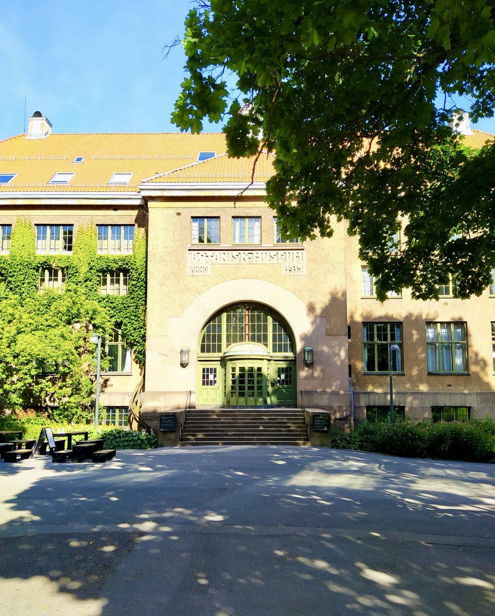 Siri Birkeland tweet media