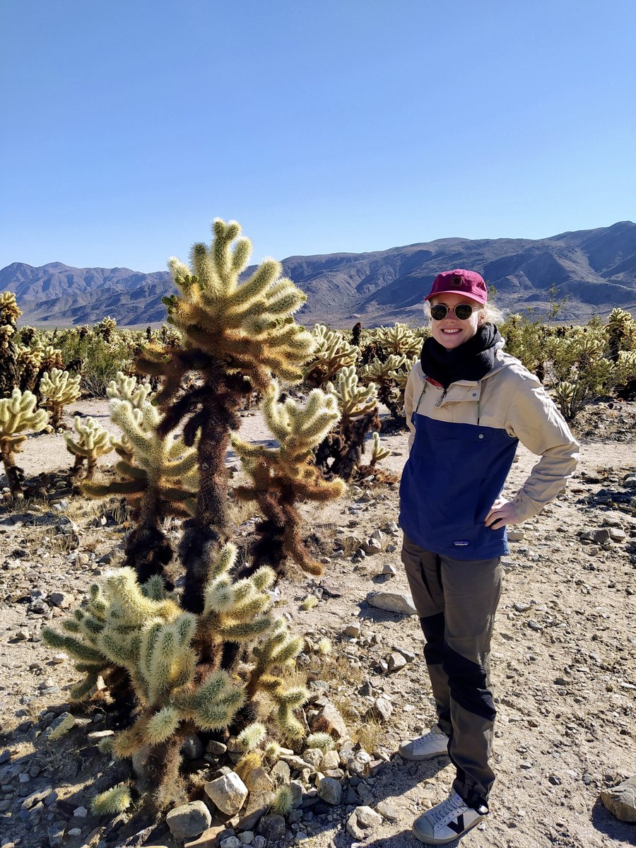 Siri Birkeland tweet media