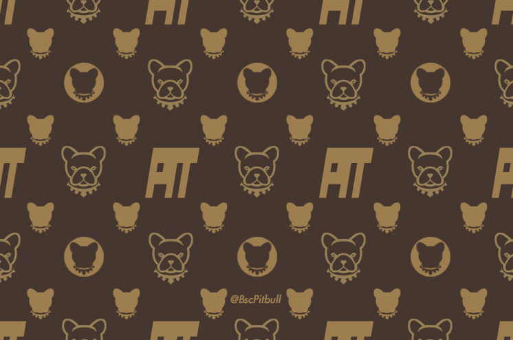 BscPitbull_KR's tweet photo. How do you think about the monogram of Louis $PIT ton? 🤣

@BscPitbull will make your life luxurious. 
Buy $PIT now &amp; #HODL it tight. 

#pitbulltoken #pitbullish
#meme #memecoin #memetoken
The next $DOGE $SHIB
#parody #LuisVuitton
#crypto #Bullrun https://t.co/WYx5nMFte3