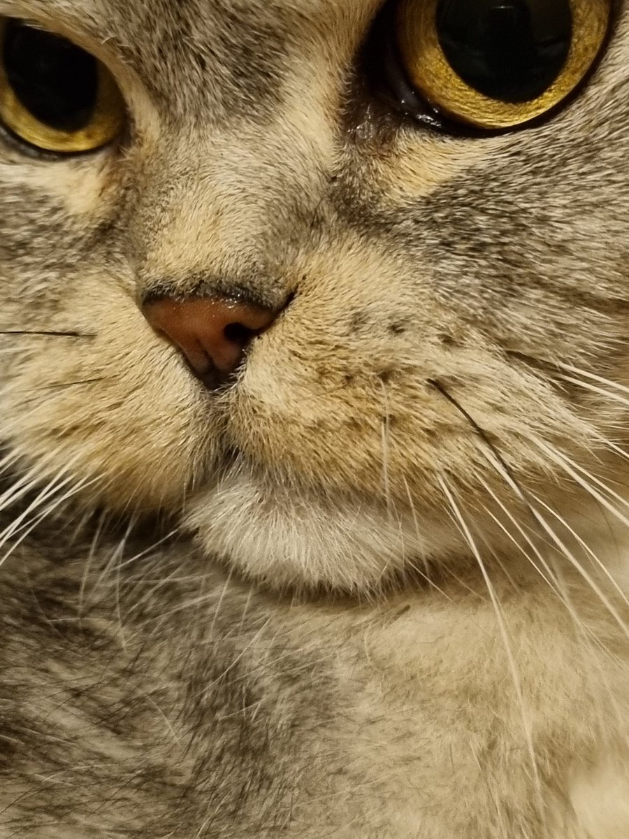 Mrs K.Edwards tweet media