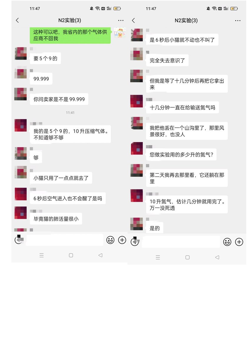 安le死运动:自Sha人民共和国 tweet media