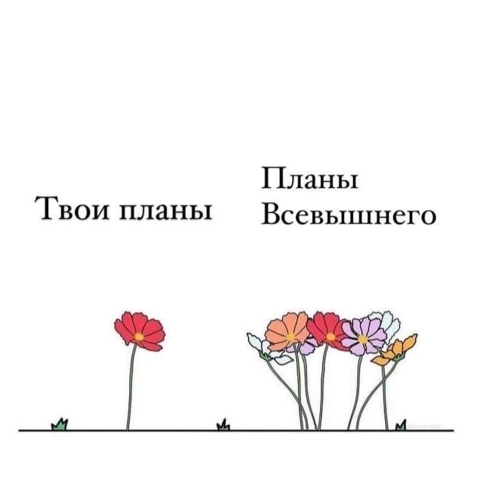 musslimat's tweet photo. https://t.co/pp9tJwkXNU