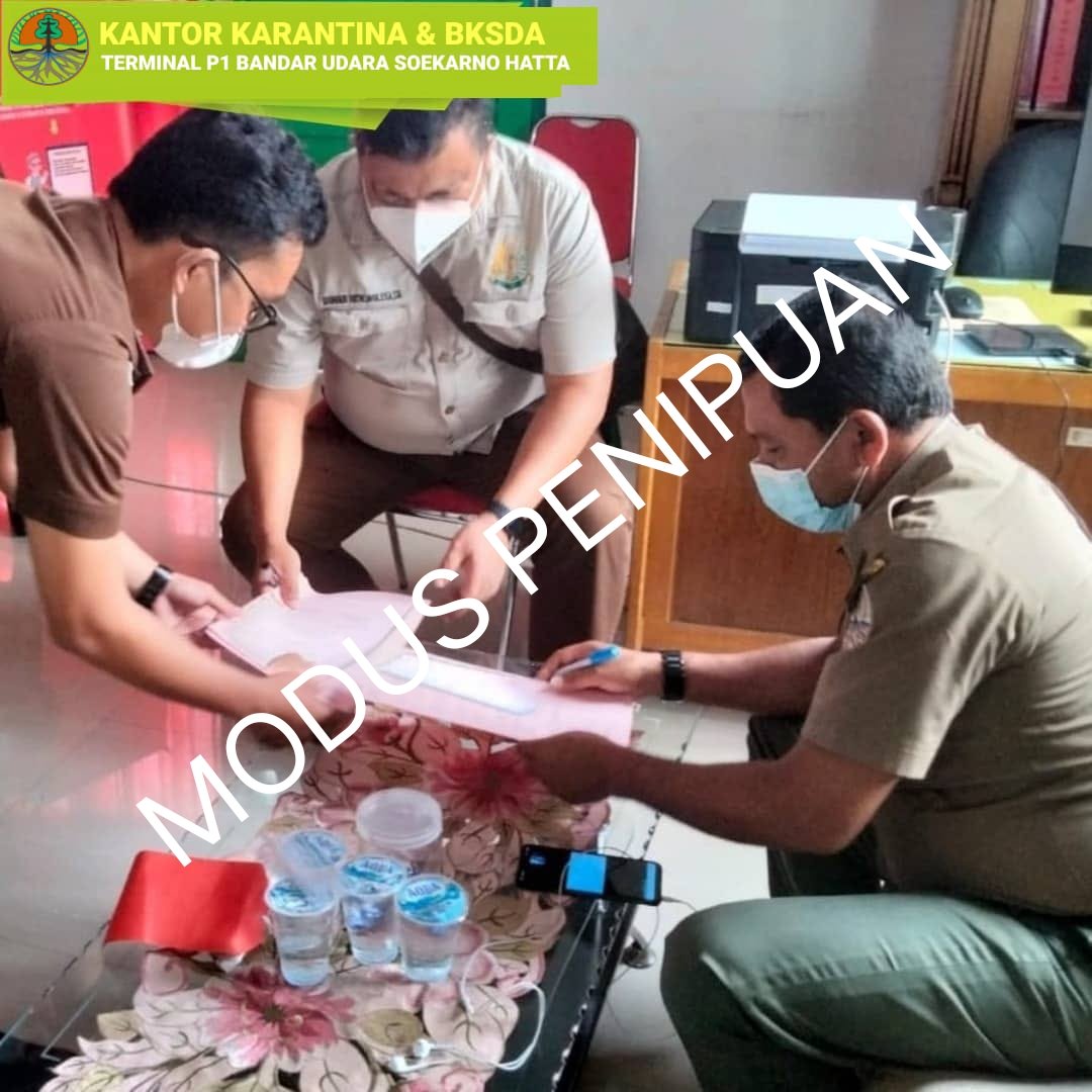 Marak Penipuan Atas Nama Petugas Karantina Pertanian Soekarno Hatta.

Tangerang (17/01). Karantina Pertanian Soekarno-Hatta mengingatkan masyarakat untuk mewaspadai adanya pihak-pihak yang melakukan penipuan dengan mengatasnamakan pejabat karantina.