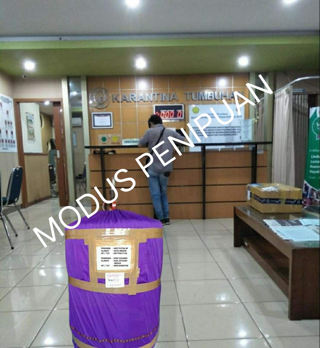 Banyak modus dilancarkan komplotan penipu.Umumnya mereka menjaring korbannya melalui online shop.“Pernahkah Anda mengalami kejadian saat melakukan transaksi jual beli hewan atau tumbuhan, diminta untuk mentransfer sejumlah uang untuk menebus barang yang ditahan petugas karantina?