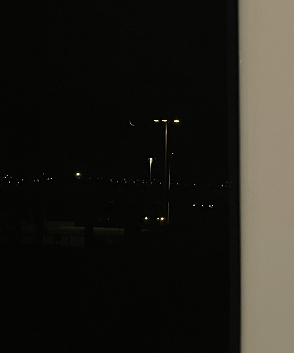 Sopitaت tweet media