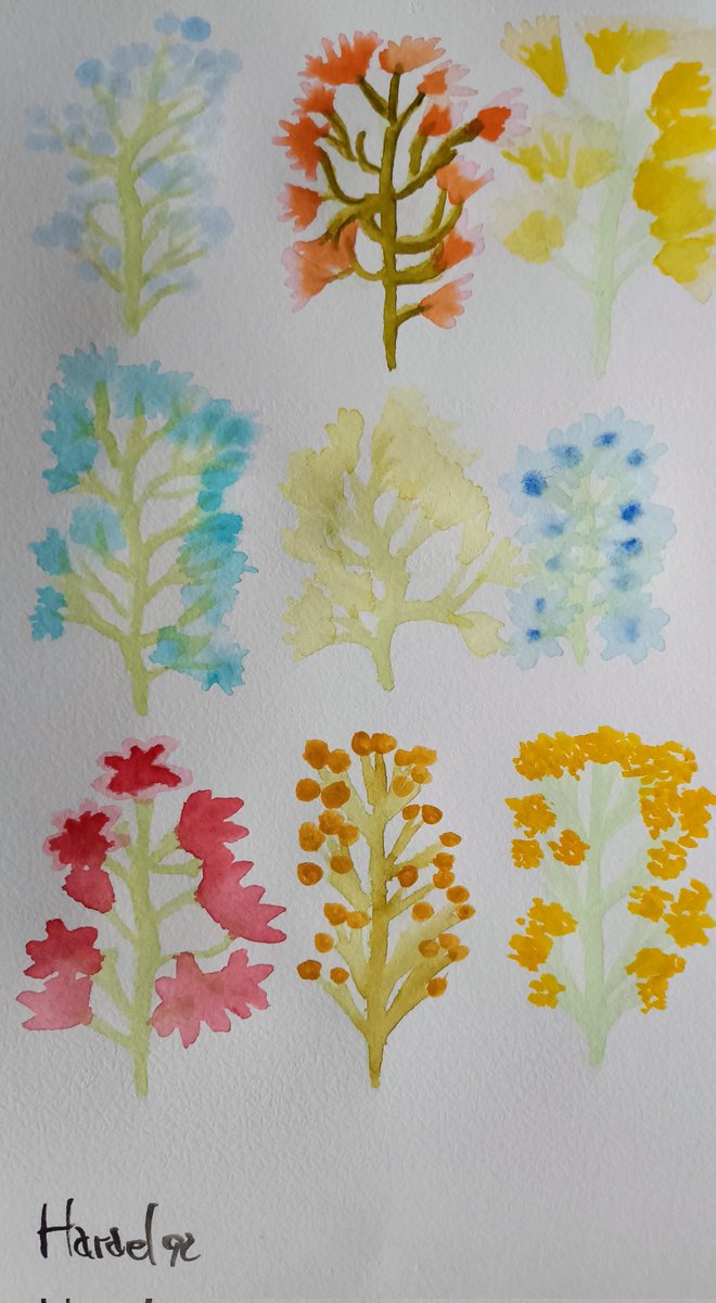 harael92's tweet photo. My first exercise with watercolors! I hope I can learn it to be able to make other drawings in the future!

#watercolorpainting #watercolor #watercolorart #art https://t.co/dafgm8qtep