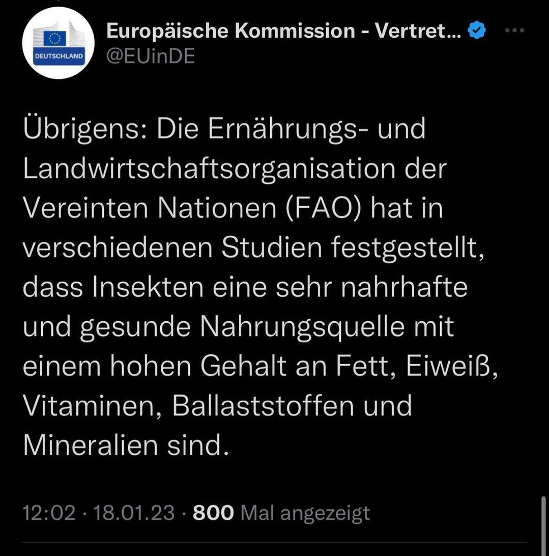 Fehlzuender's tweet photo. YOU WILL EAT ZE BUGS!! #KlausSchwab https://t.co/aPsMbbCoWx