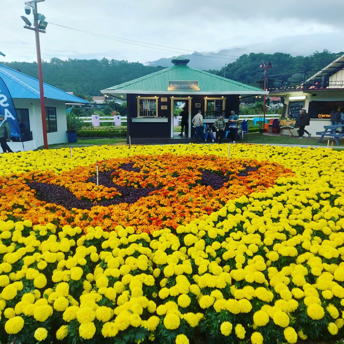Robe186's tweet photo. Chiriqui-Boquete https://t.co/r5GLWF2cNZ