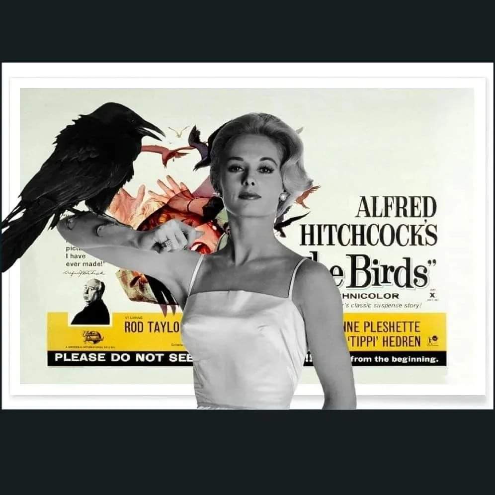 Happy birthday Tippi Hedren!          