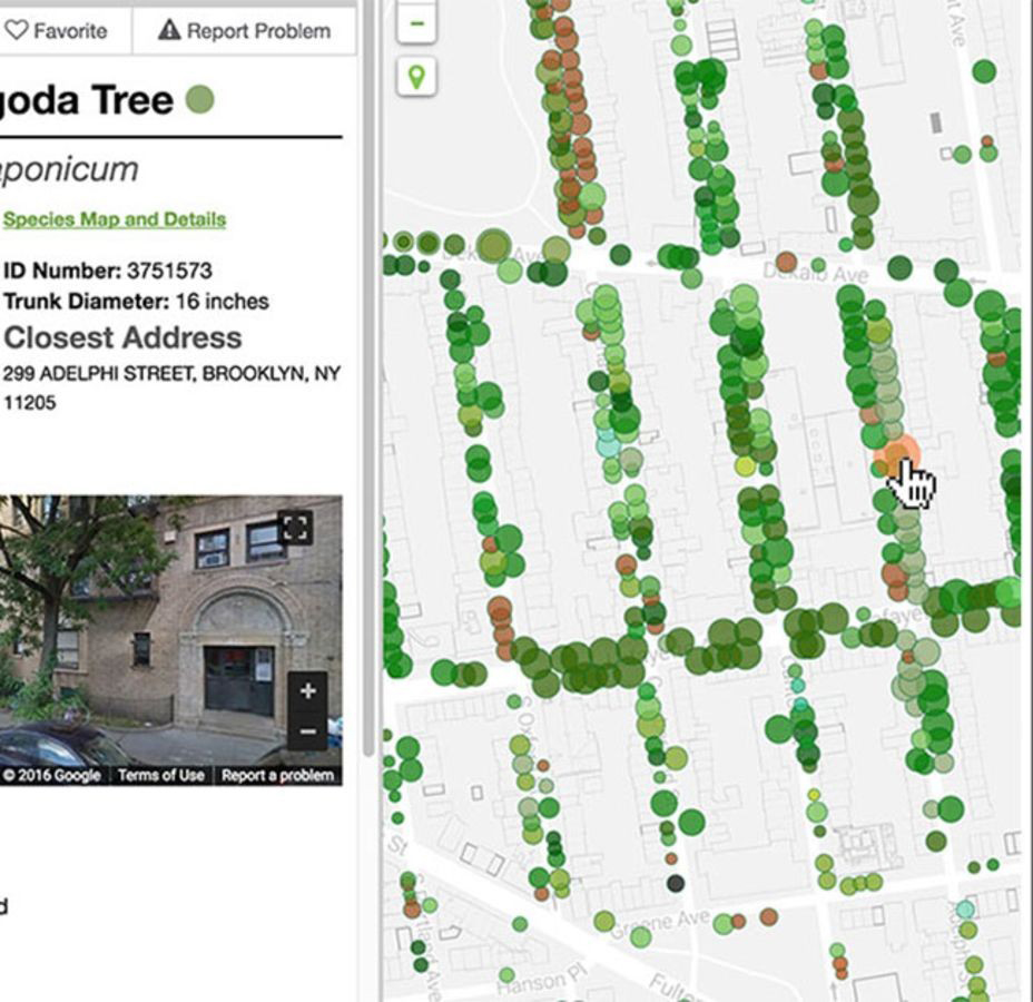 Learn about #NYCStreetTrees and how to care for them on 1/25 from 6 to 8 pm <a href="/BrooklynBotanic/">Brooklyn Botanic Garden</a> Garden. We'll cover material including how to become a licensed #CitizenPruner and also go over the newly improved #NYCStreetTreeMap by <a href="/NYCParks/">NYC Parks</a>. Register here: bit.ly/3X56oHH