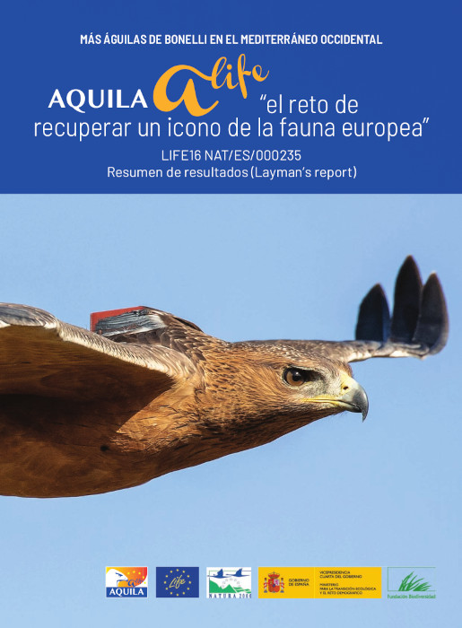 Para saber lo que hemos hecho por el águila de Bonelli, consulta nuestro informe Layman's aquila-a-life.org/index.php/es/a… #LIFEprogramme