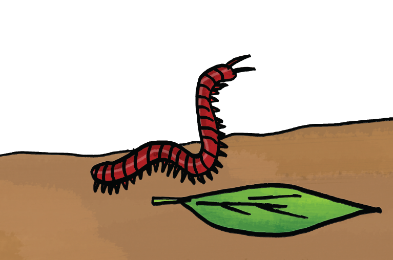 CrambRaymond's tweet photo. Mammy! Mammy! A bestie bit ma bum! Find out wit beastie and explore some other wee beasties while yer at it with this children’s picture book in Scots.  #XpoNorth https://t.co/nfLAILZvtU