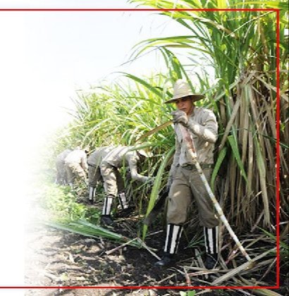 #FidelPorSiempre: "Hay que decir que el Servicio Militar ha sido una medida que ha contribuido extraordinariamente a la formación de nuestros jóvenes". #JuntarYVencer