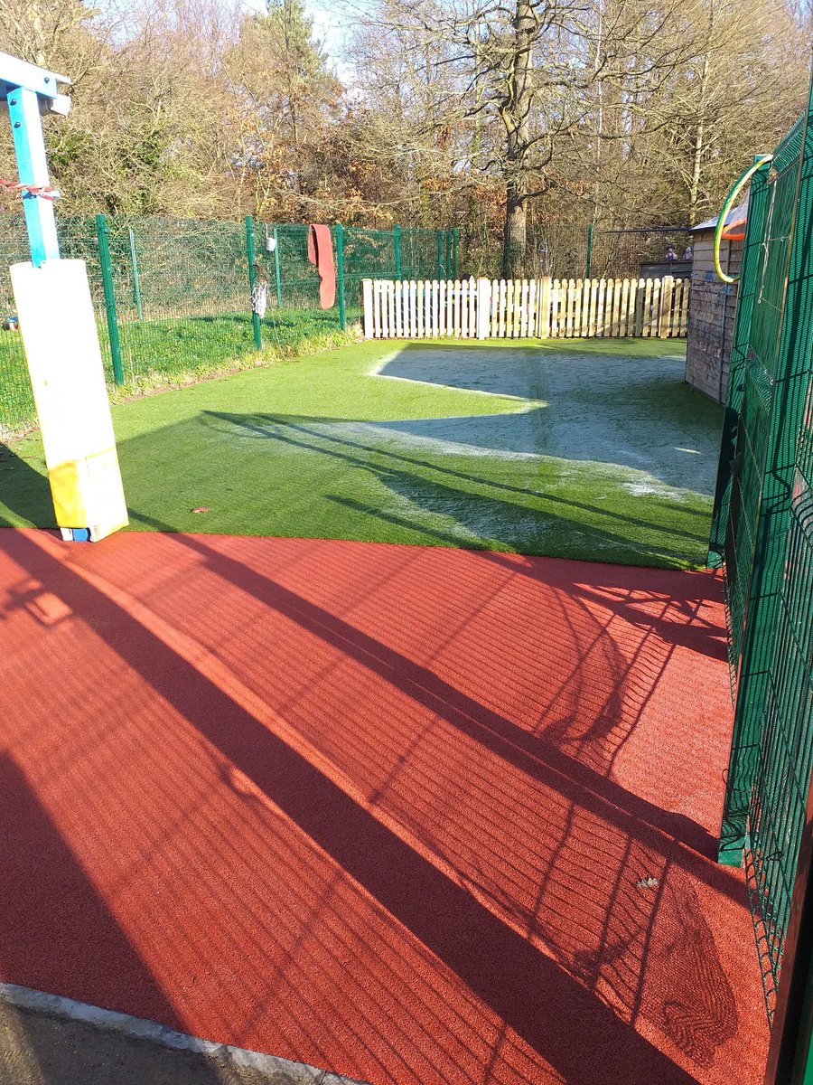 Bysing Wood Primary tweet media