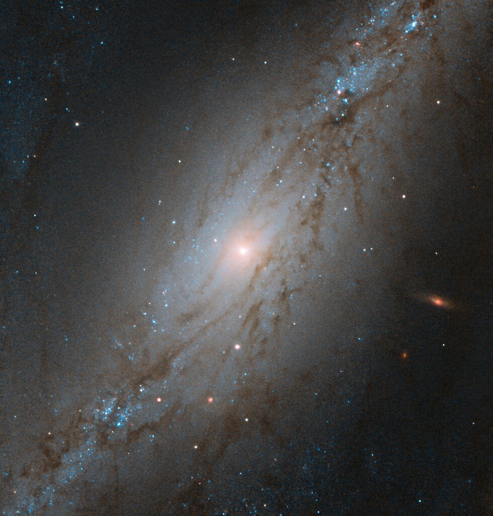 HUBBLE_space's tweet photo. #HubbleTopImage This barred spiral galaxy is moving at the astounding speed of 1564 km per second. For context, the Earth orbits the Sun at about 30 km per second. Read more about it here: https://t.co/L87PLfZACj

📷 @esa / @HUBBLE_space &amp; @NASA M. Stiavelli, P. Erwin et al. https://t.co/hprRJ8APnN