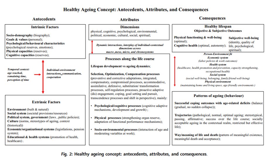 eClinicalMed's tweet photo. 📰New study: Concepts and definitions of #healthyageing

The study suggests that life long person-environment interactions, adaptations, environments, and health promotion/empowerment are essential for healthy ageing

https://t.co/cZNJ9Tpk0b https://t.co/r4u0Hz1YPz
