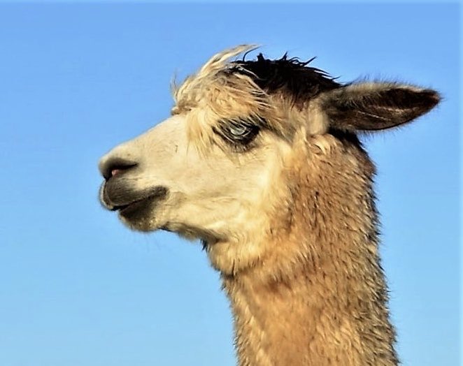 Is dis me good side? you reckon 😃😎🥰 #Zoe 🥰