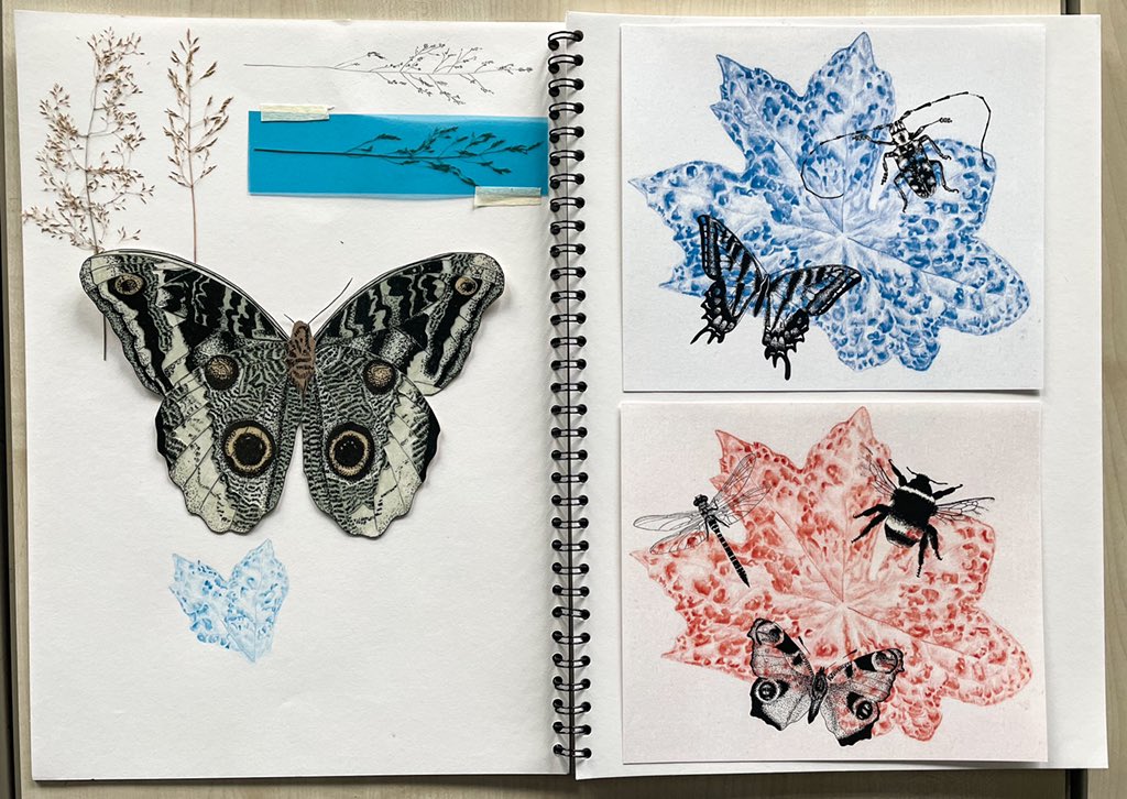 Some awesome S6 work from Ella