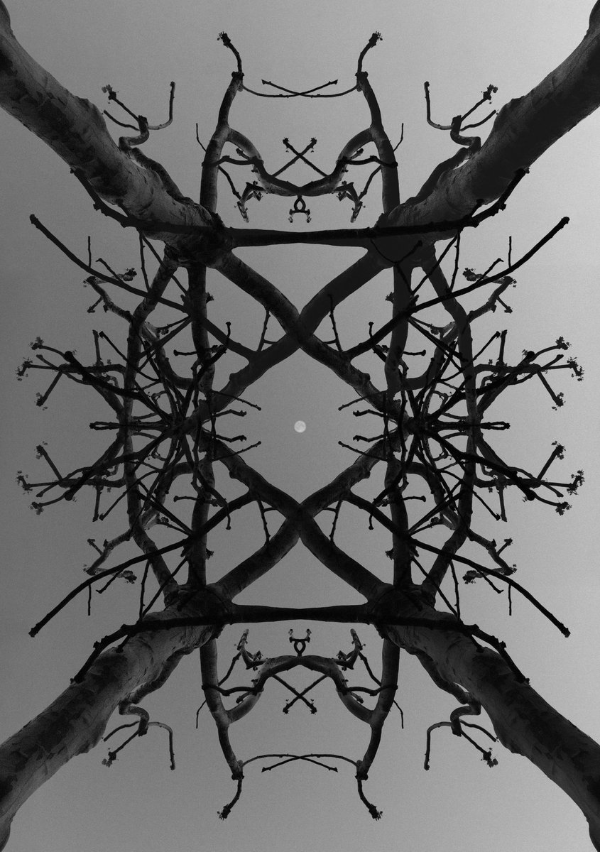 Gm friends! The Antica series journey continues...
ㅤ
“Portico”
12/20 editions available on <a href="/objktcom/">objkt</a> 
15 xtz 
objkt.com/asset/KT1WCnUB…
ㅤ
#tezosart #CleanNFT #tezoscommunity #xtz