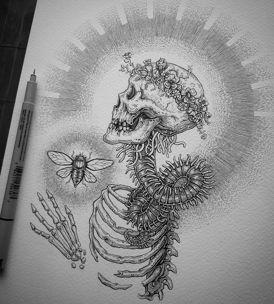 jf_lemay's tweet photo. Eos and Tithonus
Ink on paper, 9x12. 

Last one of my Greek mythology series. https://t.co/PtkSg0fM7L