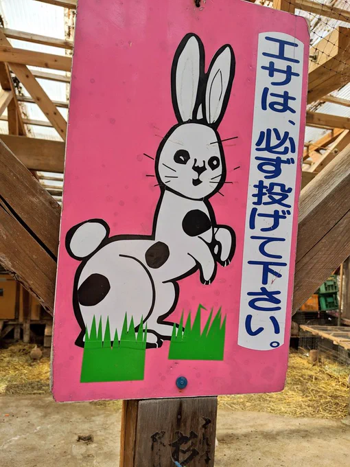 キツネ村おすすめ情報 