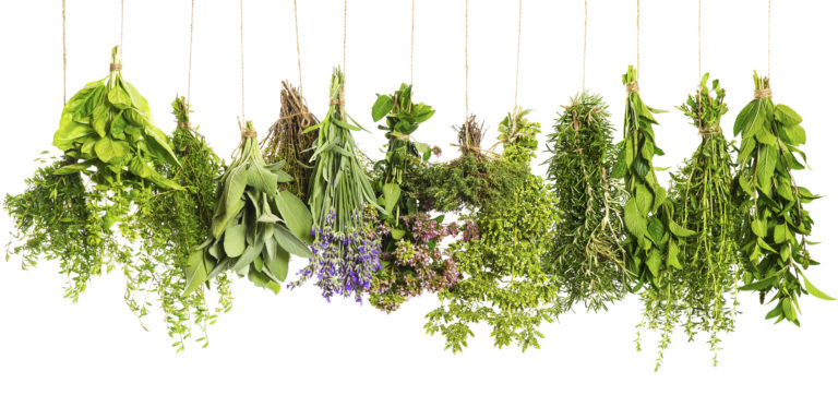 Want better gut health?

Start cooking with these herbs &amp; spices

-- THREAD --