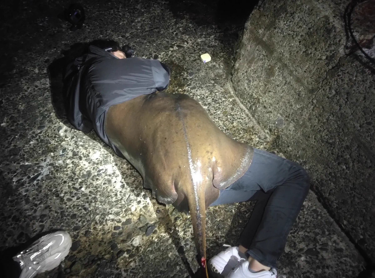 漁港で爆睡する人。よく見るとなんかおかしい？毛布じゃなくて…？