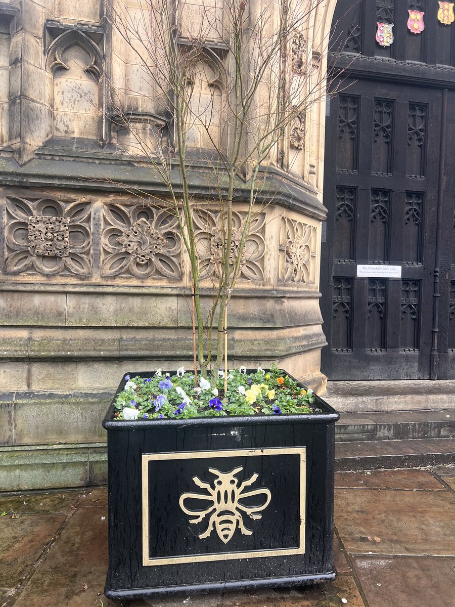 artfoundryman's tweet photo. Always good to spot items cast at @HargreavesFndry when wandering the streets of Manchester , including a lovely pavement light and Manchester Bee planter
#IronworkThursday #CastingThursday https://t.co/7l4UAe0mFz