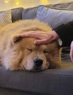 Alternatives Counselling & Listening Rooms tweet media