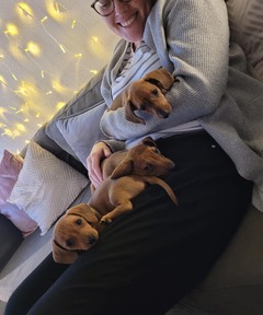 Alternatives Counselling & Listening Rooms tweet media